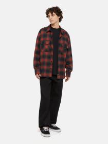 Рубашки Dickies x Spitfire Flannel модель DK0A865NJ571 Фото