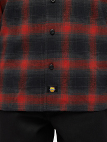 Рубашки Dickies x Spitfire Flannel модель DK0A865NJ571 Фото