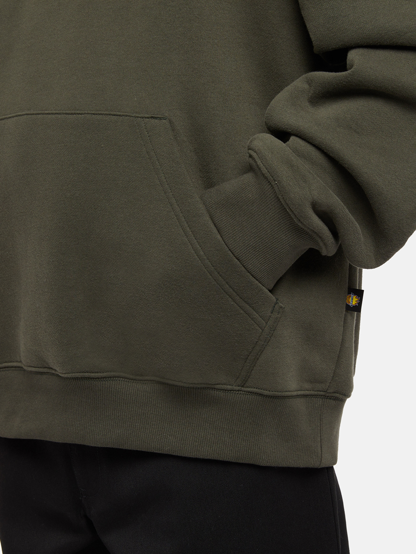 Худи и свитшоты Dickies x Spitfire модель DK0A865O0OG1 Фото