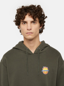 Худи и свитшоты Dickies x Spitfire модель DK0A865O0OG1 Фото