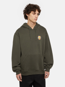 Худи и свитшоты Dickies x Spitfire модель DK0A865O0OG1 Фото
