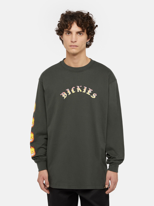 Худи и свитшоты Dickies x Spitfire модель DK0A86640OG1 Фото