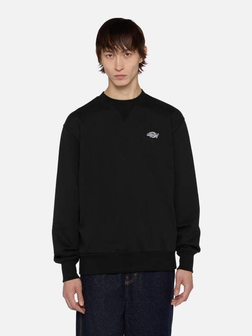 Худи и свитшоты Dickies Summerdale модель DK0A4Y6QBLK1 Фото