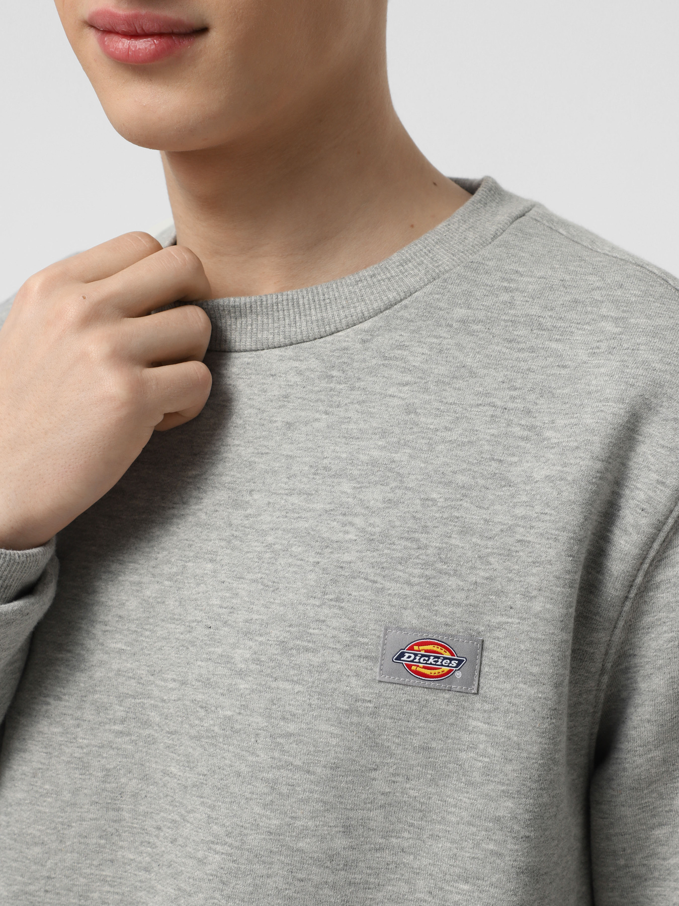 Худі та світшоти Dickies Oakport Crew модель DK0A4XCEHG01 Фото