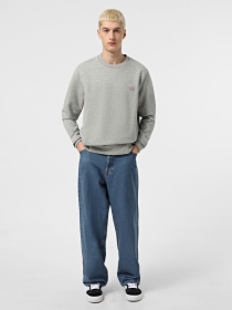 Худі та світшоти Dickies Oakport Crew модель DK0A4XCEHG01 Фото