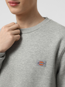 Худі та світшоти Dickies Oakport Crew модель DK0A4XCEHG01 Фото