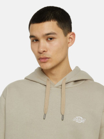 Худи и свитшоты Dickies Summerdale модель DK0A4Y6PSS01 Фото