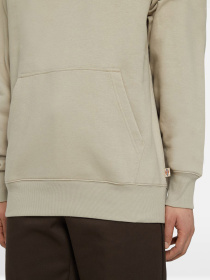 Худи и свитшоты Dickies Summerdale модель DK0A4Y6PSS01 Фото