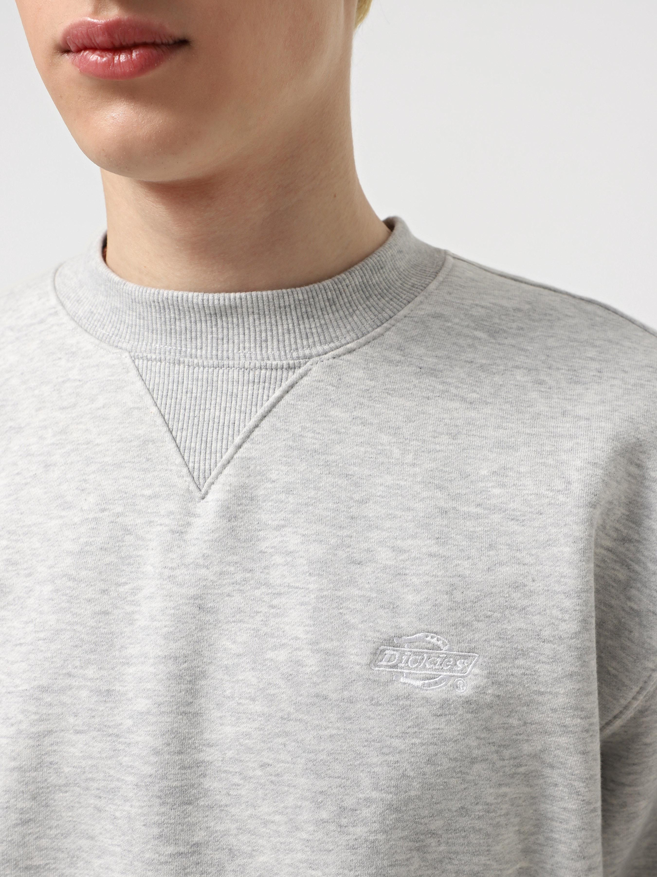 Худі та світшоти Dickies Summerdale модель DK0A4Y6QA281 Худі та світшоти Dickies Summerdale модель DK0A4Y6QA281 Фото
