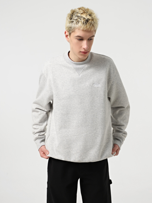 Худи и свитшоты Dickies Summerdale модель DK0A4Y6QA281 Фото