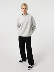 Худі та світшоти Dickies Summerdale модель DK0A4Y6QA281 Фото