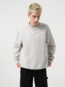 Худи и свитшоты Dickies Summerdale модель DK0A4Y6QA281 Фото