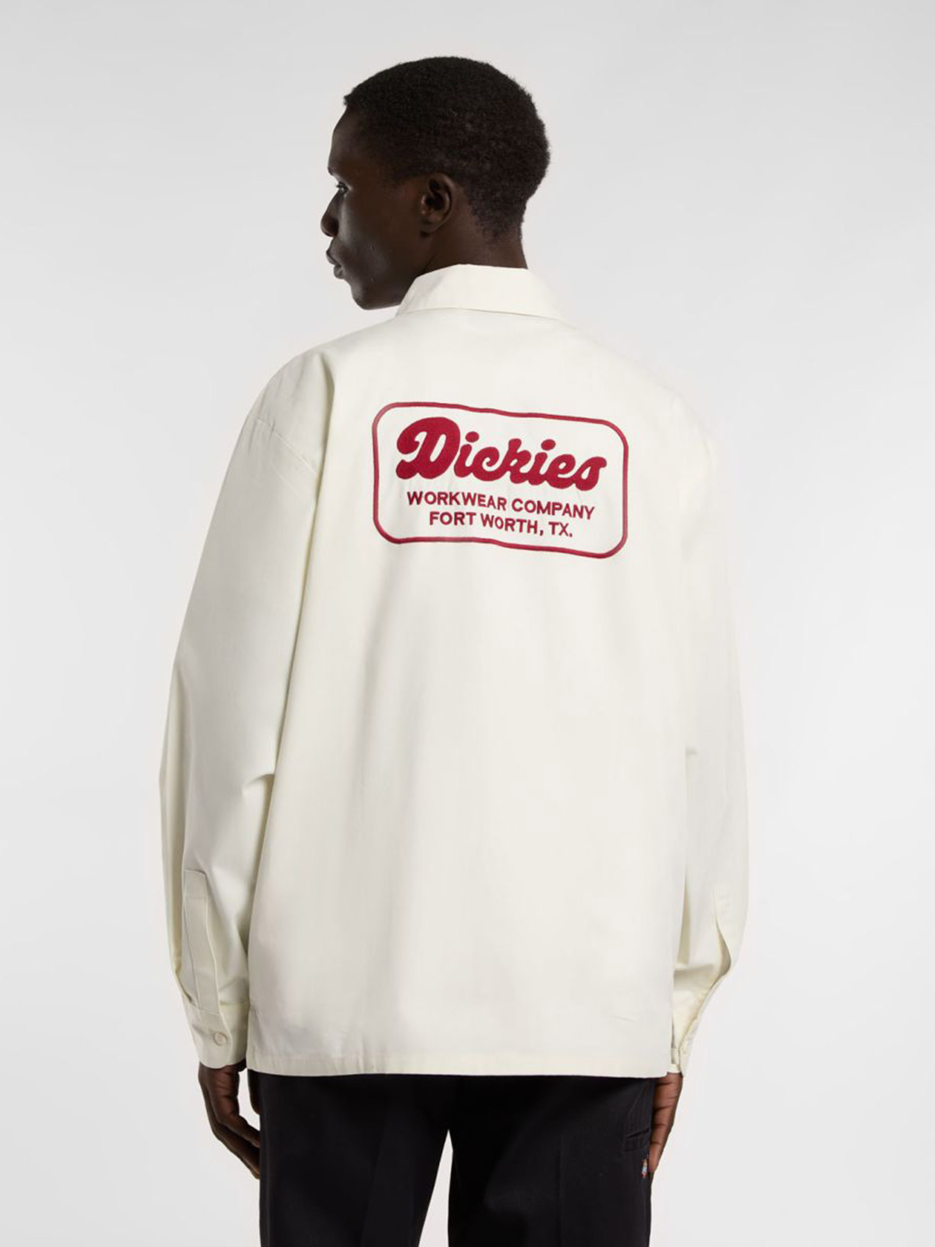 Сорочки Dickies Lewistown модель DK0A4Z7PC481 Фото