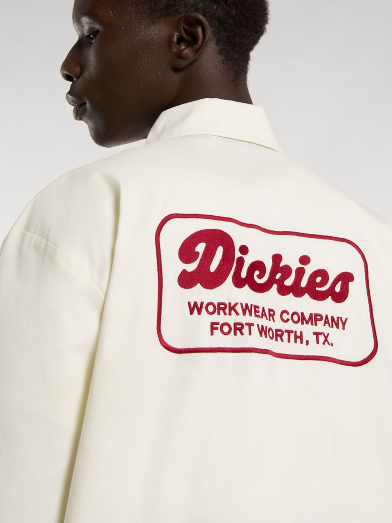 Сорочки Dickies Lewistown модель DK0A4Z7PC481 Фото