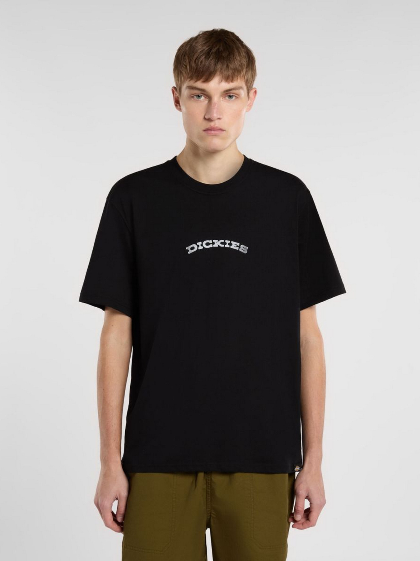 Футболки і поло Dickies Outdoor модель DK0A4Z8PBLK1 Фото