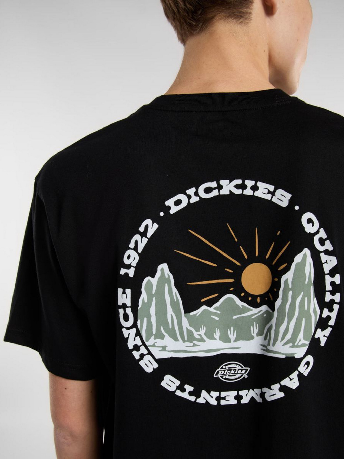 Футболки і поло Dickies Outdoor модель DK0A4Z8PBLK1 Фото