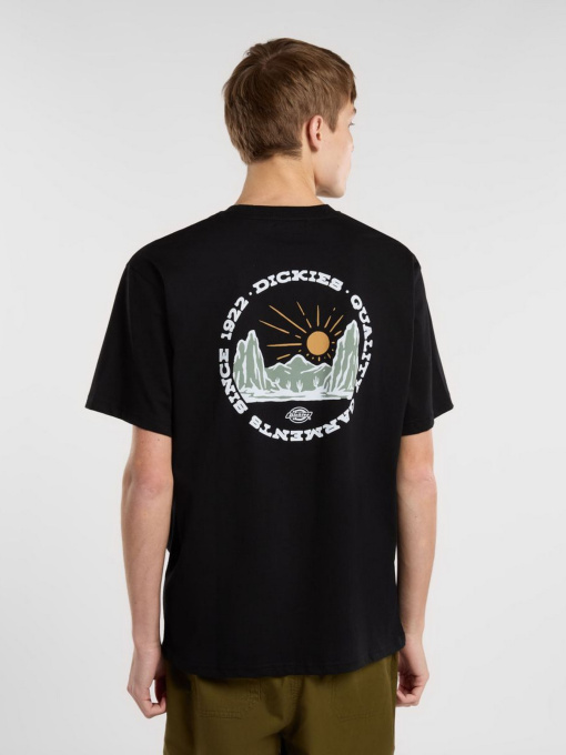 Футболки и поло Dickies Outdoor модель DK0A4Z8PBLK1 Фото