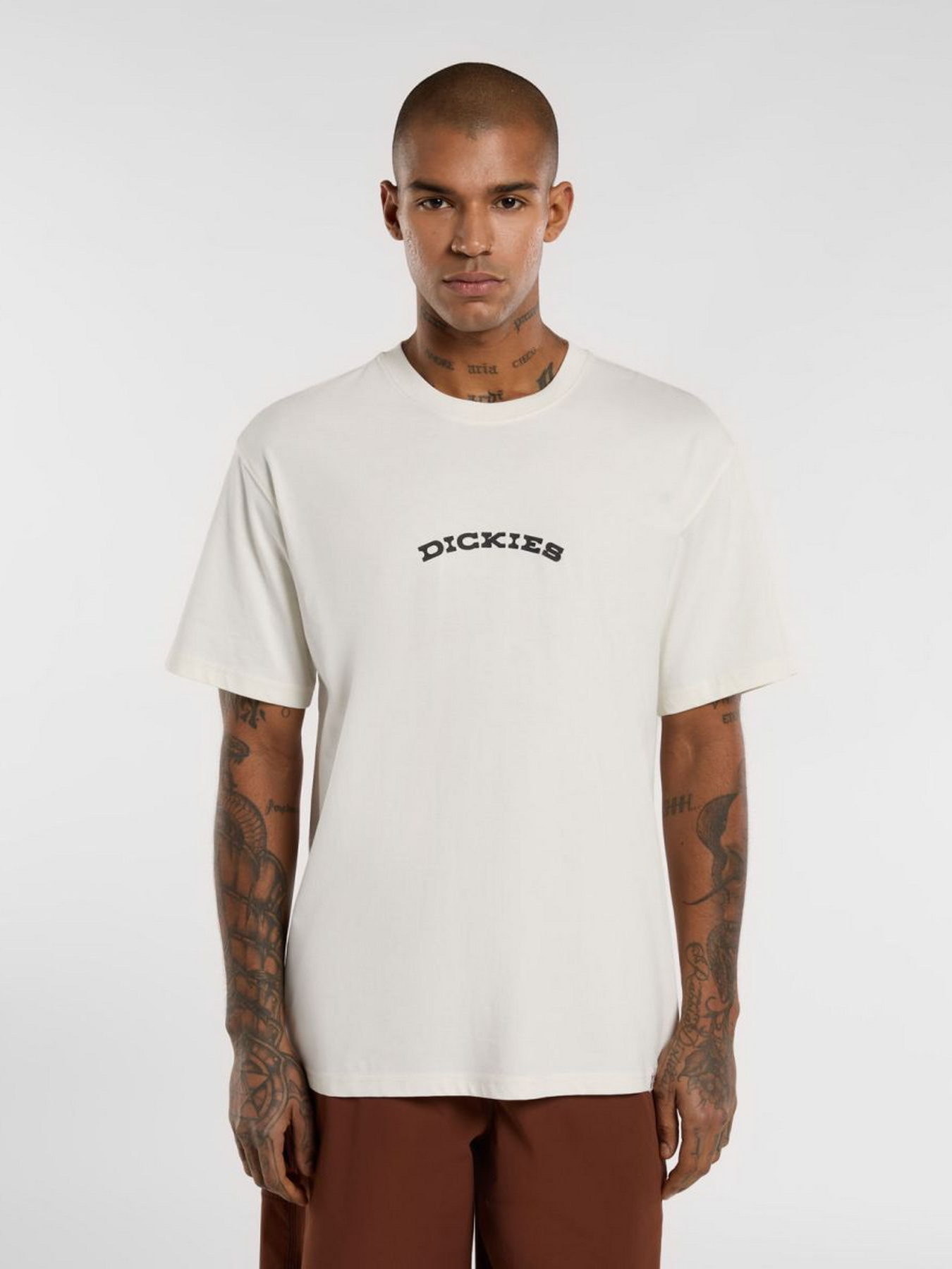Футболки і поло Dickies Outdoor модель DK0A4Z8PC481 Фото