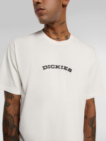 Футболки і поло Dickies Outdoor модель DK0A4Z8PC481 Фото