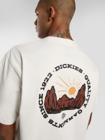 Футболки і поло Dickies Outdoor модель DK0A4Z8PC481 Фото