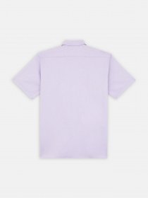 Рубашки Dickies Work модель DK0A4XK7E611 Фото