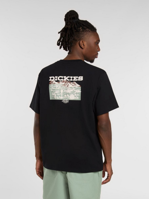 Футболки и поло Dickies Landscape модель DK0A4Z8VBLK1 Фото