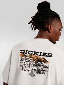 Футболки і поло Dickies Landscape модель DK0A4Z8VC481 Фото