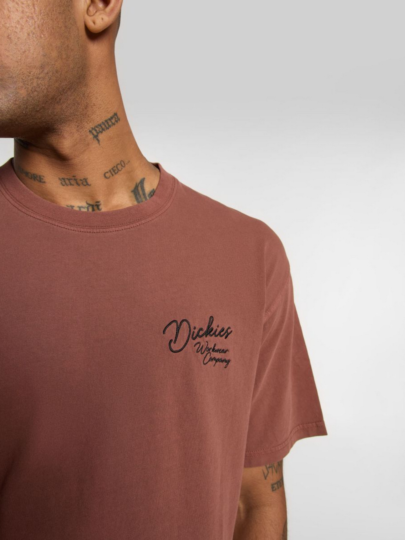 Футболки і поло Dickies Rope Chest модель DK0A4Z8WK471 Фото