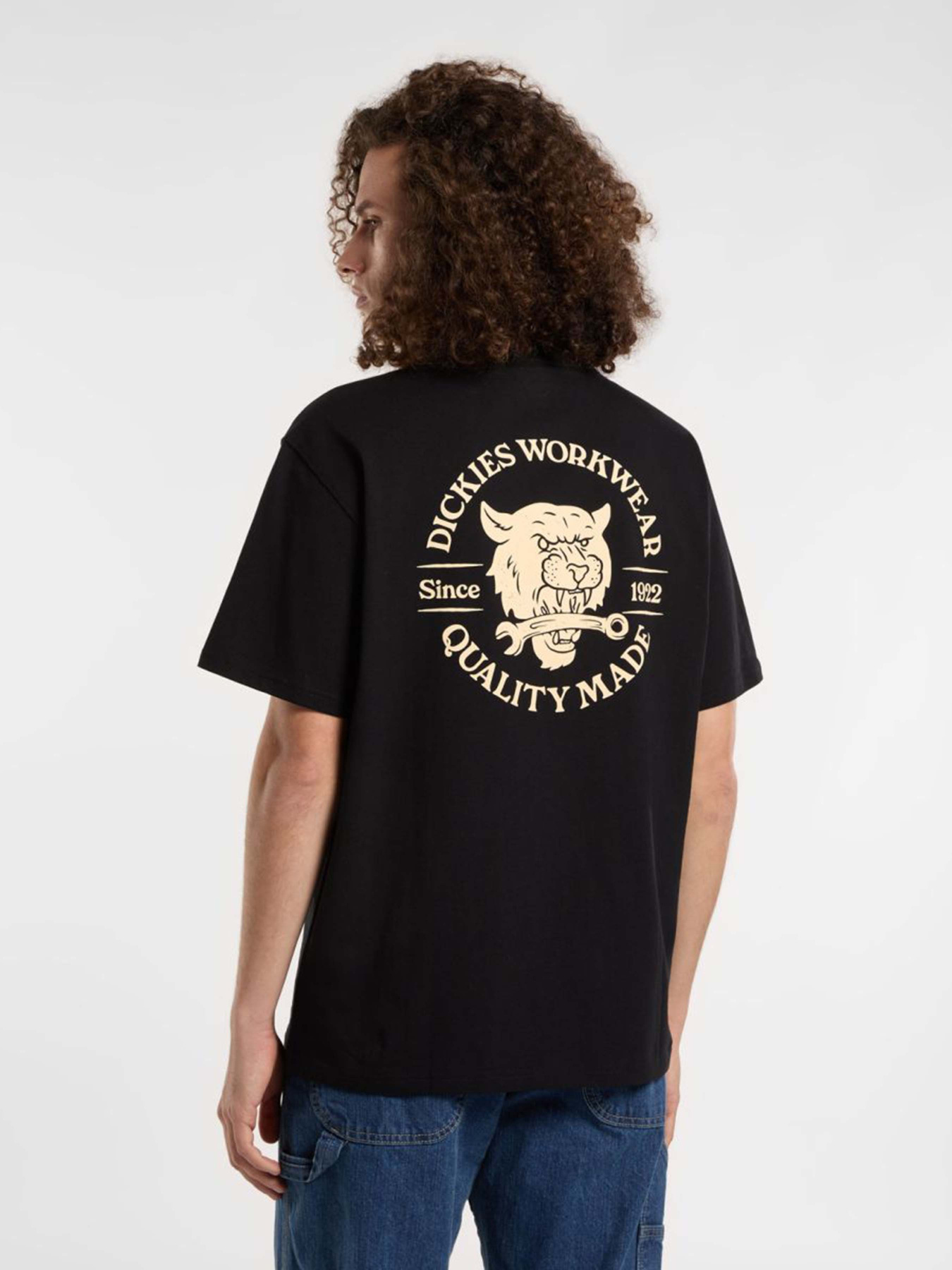 Футболки і поло Dickies Wrench модель DK0A4ZARBLK1 Фото