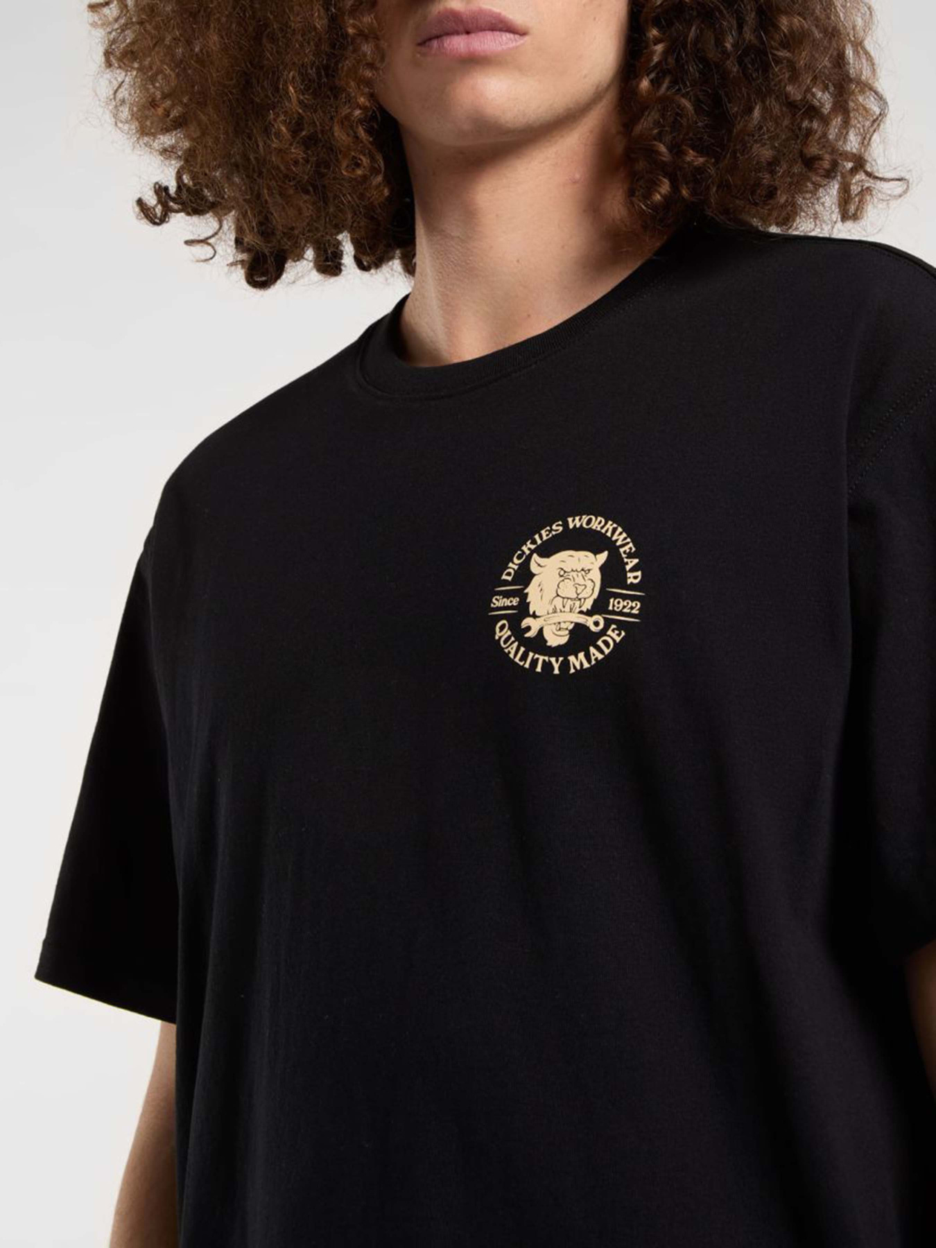 Футболки і поло Dickies Wrench модель DK0A4ZARBLK1 Фото