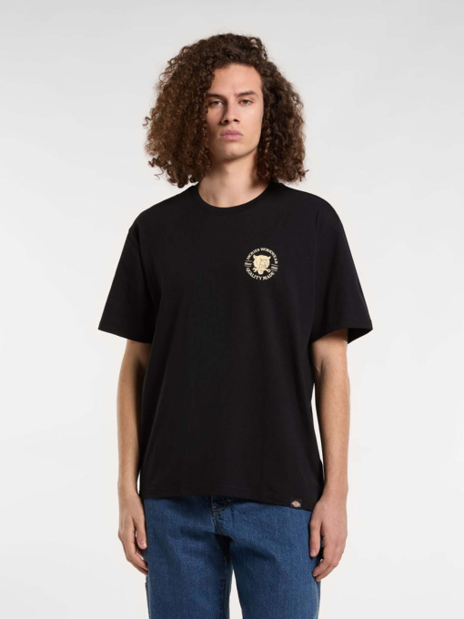 Футболки и поло Dickies Wrench модель DK0A4ZARBLK1 Фото