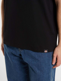 Футболки і поло Dickies Wrench модель DK0A4ZARBLK1 Фото