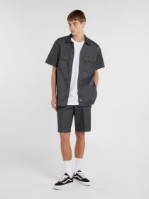 Шорти Dickies 874 модель DK0A86190CH1 Фото