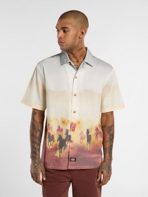 Сорочки Dickies Running Wild модель DK0A8676K411 Фото