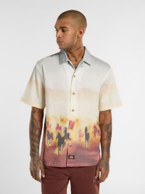 Сорочки Dickies Running Wild модель DK0A8676K411 Фото