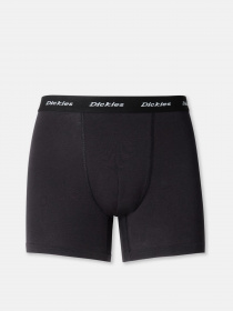Нижня білизна Dickies 2 Pack Trunks модель DK0A4XOCBLK1 Фото