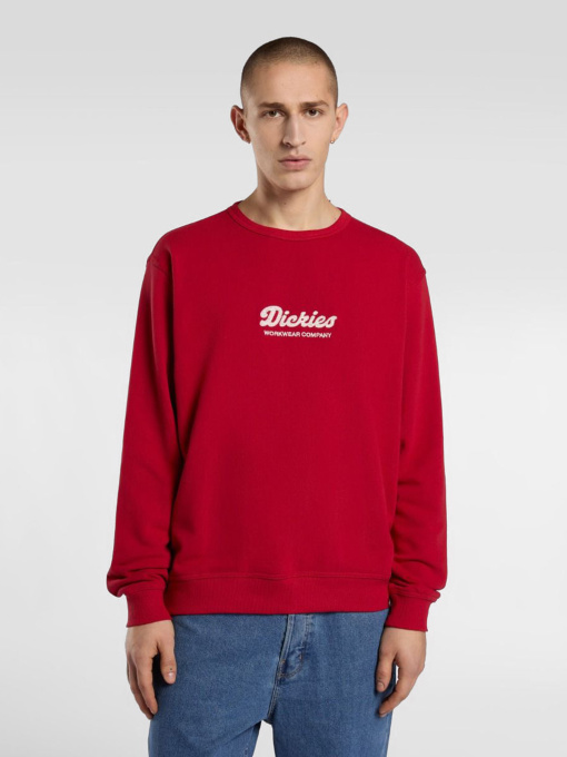Худі та світшоти Dickies Lewistown модель DK0A86820ER1 Фото