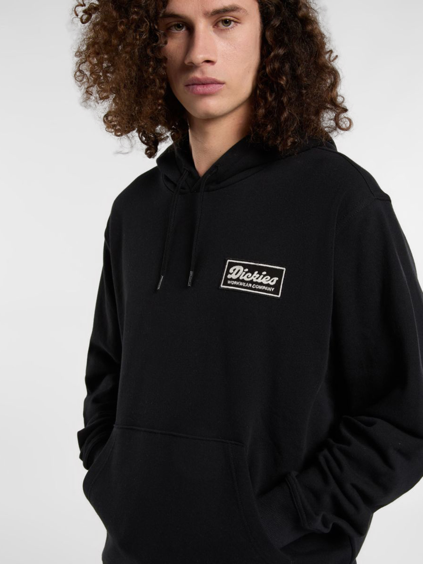 Худі та світшоти Dickies Lewistown модель DK0A8683BLK1 Худі та світшоти Dickies Lewistown модель DK0A8683BLK1 Фото
