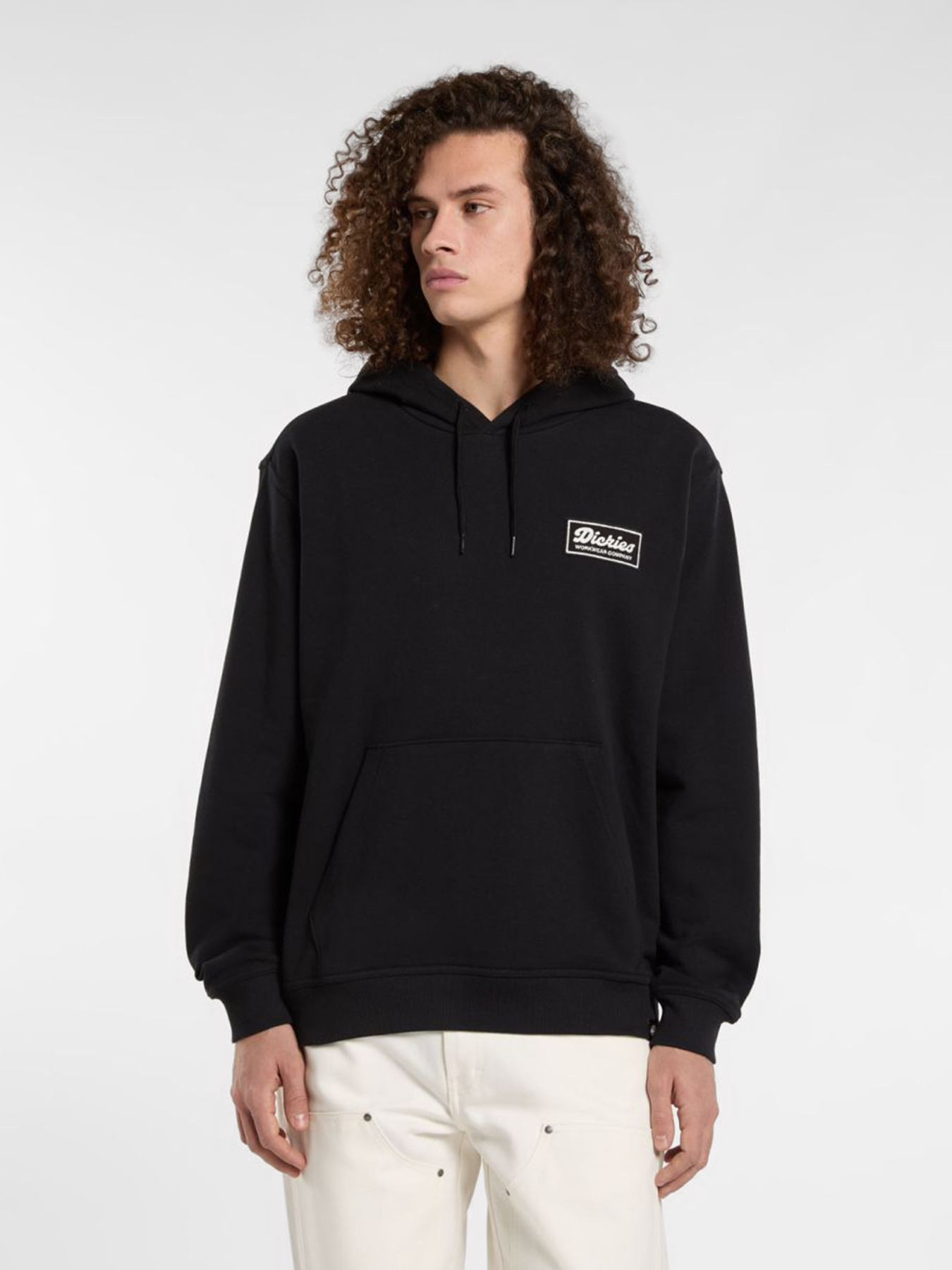 Худі та світшоти Dickies Lewistown модель DK0A8683BLK1 Худі та світшоти Dickies Lewistown модель DK0A8683BLK1 Фото