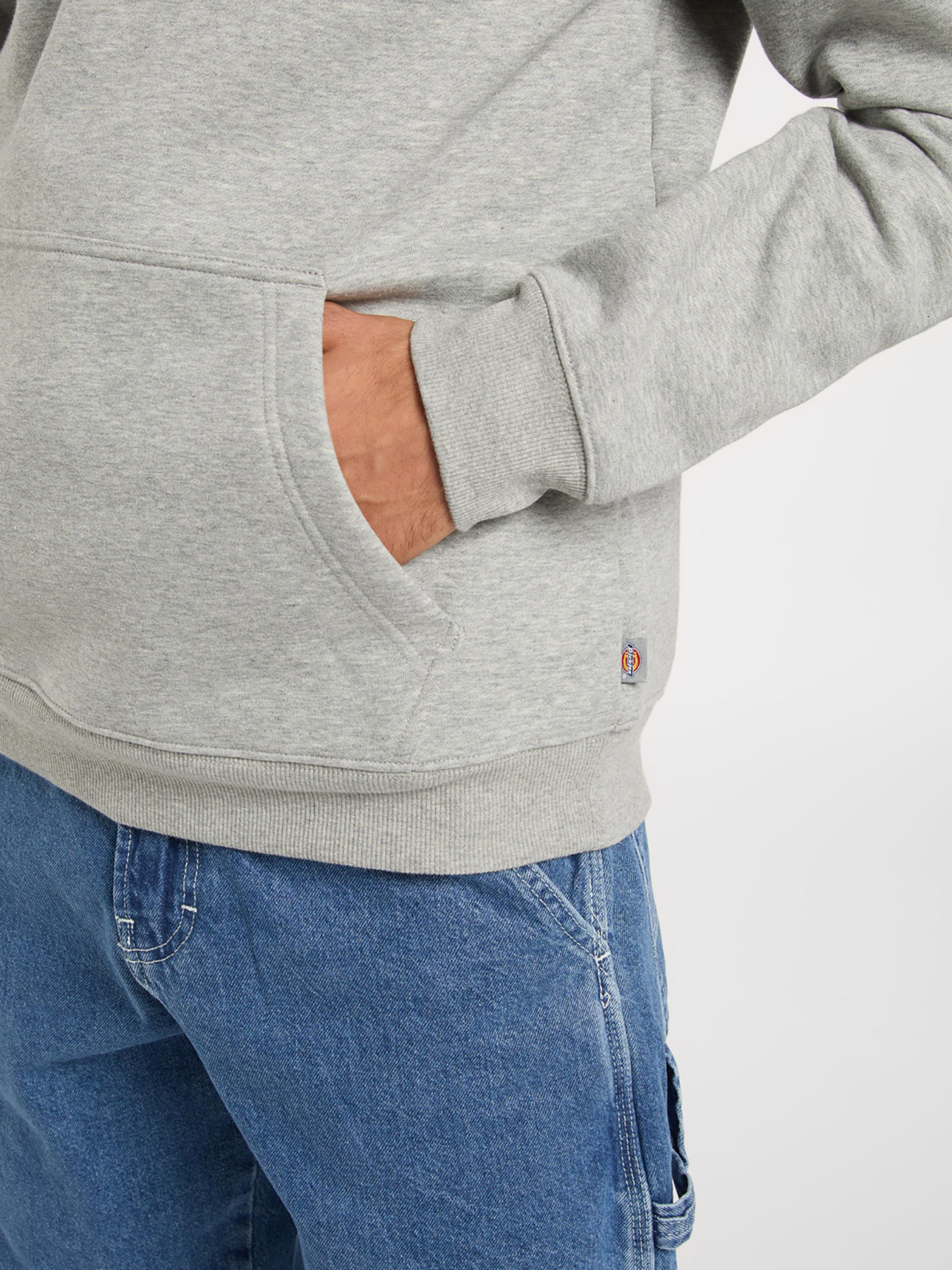 Худі та світшоти Dickies модель DK0A4XCDHG01 Худі та світшоти Dickies модель DK0A4XCDHG01 Фото