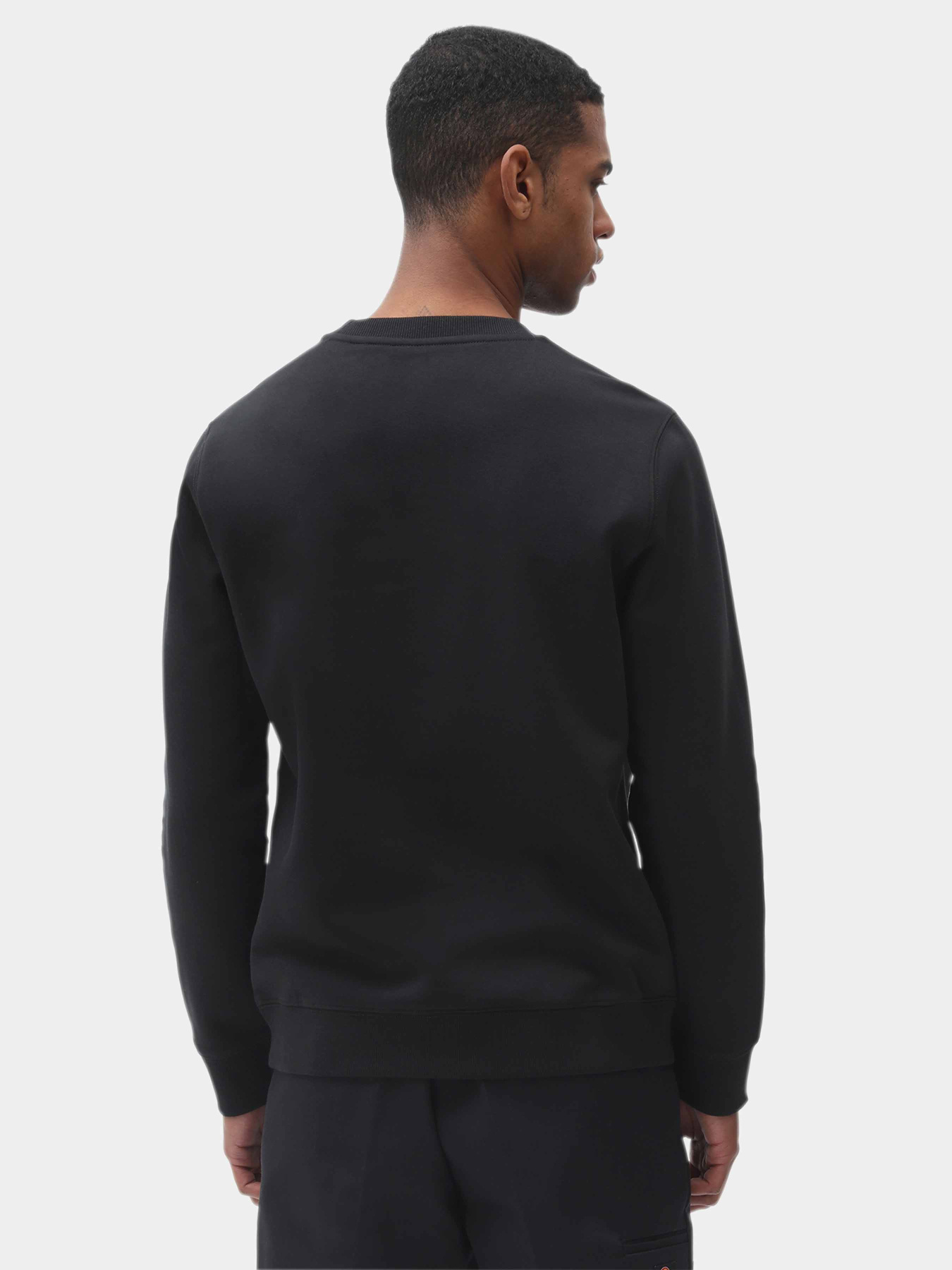 Худі та світшоти Dickies Oakport модель DK0A4XCEBLK1 Фото