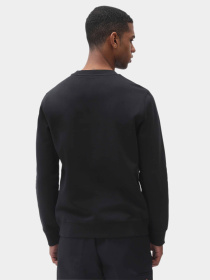 Худі та світшоти Dickies Oakport модель DK0A4XCEBLK1 Фото