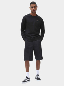 Худі та світшоти Dickies Oakport модель DK0A4XCEBLK1 Фото