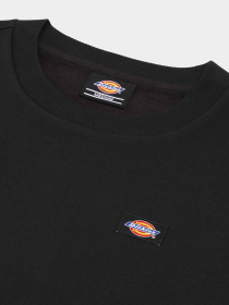 Худі та світшоти Dickies Oakport модель DK0A4XCEBLK1 Фото