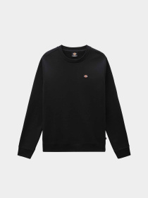 Худі та світшоти Dickies Oakport модель DK0A4XCEBLK1 Фото