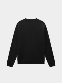 Худі та світшоти Dickies Oakport модель DK0A4XCEBLK1 Фото