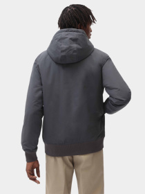 Куртки и дубленки Dickies New Sarpy модель DK0A4XG8CH01 Фото
