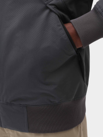 Куртки и дубленки Dickies New Sarpy модель DK0A4XG8CH01 Фото