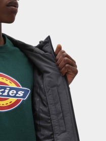 Куртки и дубленки Dickies New Sarpy модель DK0A4XG8CH01 Фото