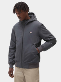 Куртки и дубленки Dickies New Sarpy модель DK0A4XG8CH01 Фото